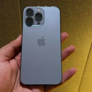 iPhone 13 Pro (Gray)